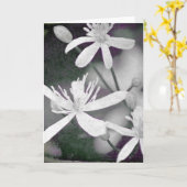 Carte Fleurs blanches (Fleur jaune)