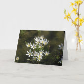 Carte Fleurs Blanches (Fleur jaune)