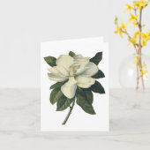 Carte Fleurs blanches de floraison de fleur de magnolia (Fleur jaune)