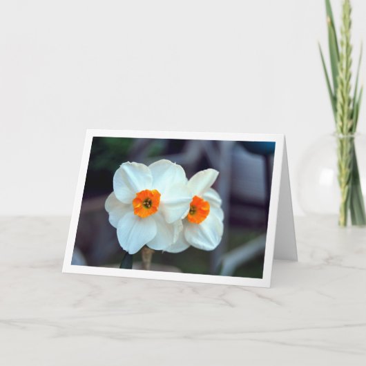 Carte Fleurs blanches de jonquille (Devant)