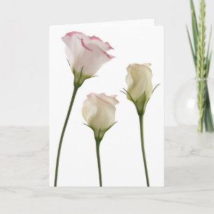 Carte fleurs blanches de lisianthus, trio