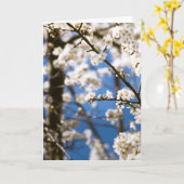 Carte Fleurs blanches devant un ciel blanc (Fleur jaune)