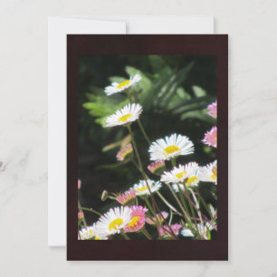 Carte Fleurs blanches et roses