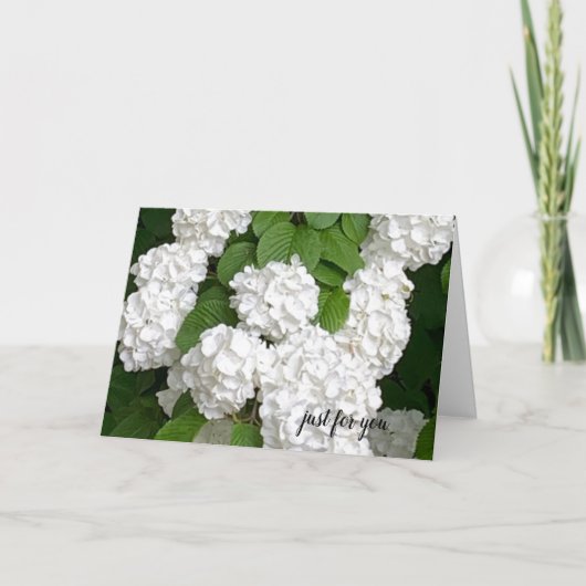 Carte Fleurs Blanches Juste Pour Vous (Devant)