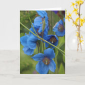 Carte Fleurs Bleues (Fleur jaune)