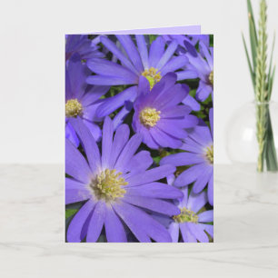 Carte Fleurs Bleues Cartes Faisy Cartes de Voeux V