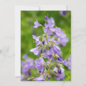 Carte Fleurs bleues délicates sur un champ vert dans un  (Devant)