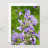 Carte Fleurs bleues délicates sur un champ vert dans un  (Devant / Derrière)