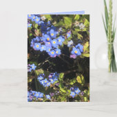 Carte Fleurs Blue Forget-Me-Not (Devant)