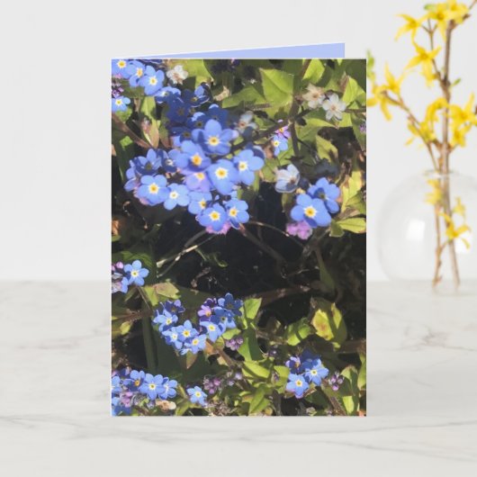 Carte Fleurs Blue Forget-Me-Not (Fleur jaune)