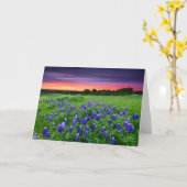 Carte Fleurs | Bluebonnets à Sunset Texas (Fleur jaune)