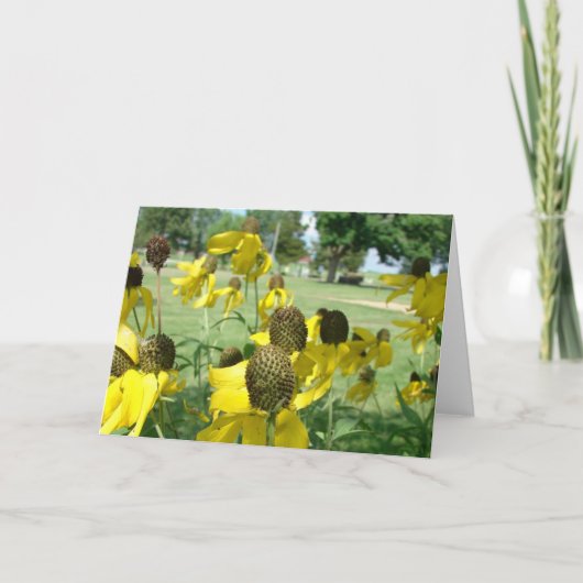 Carte Fleurs Casquettes mexicaines jaunes (Devant)