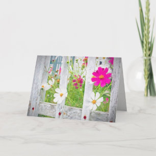 Carte fleurs cosmos d'été à la clôture