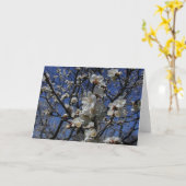 Carte Fleurs d'abricot (Fleur jaune)