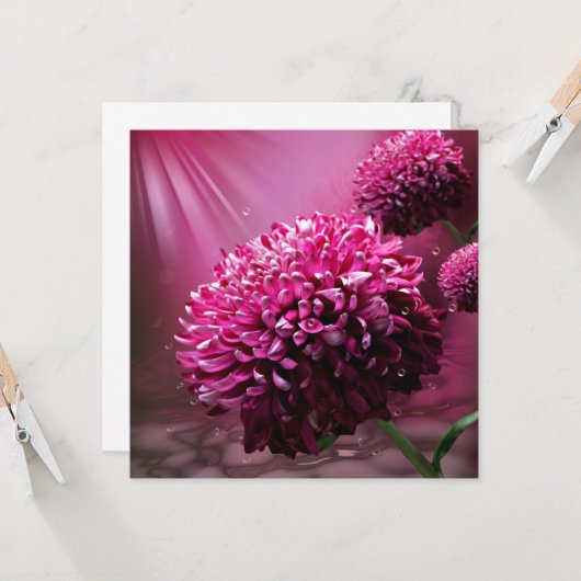 Carte Fleurs Dahlia (Devant/Arrière en situation)