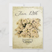 Carte Fleurs d'anniversaire le 12 Janvier "Sweet alyssum (Devant)