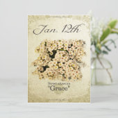 Carte Fleurs d'anniversaire le 12 Janvier "Sweet alyssum (Debout devant)