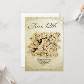 Carte Fleurs d'anniversaire le 12 Janvier "Sweet alyssum (Devant/Arrière en situation)