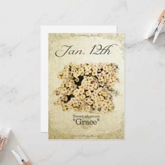 Carte Fleurs d'anniversaire le 12 Janvier "Sweet alyssum (Devant/Arrière en situation)