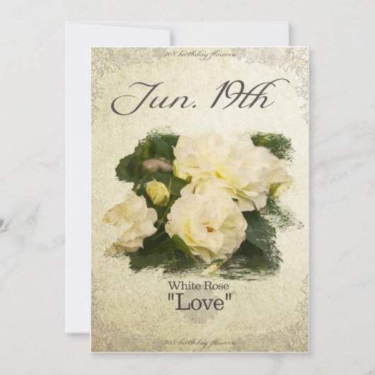 Carte Fleurs d'anniversaire le 19 juin "Rose blanche" (Devant)