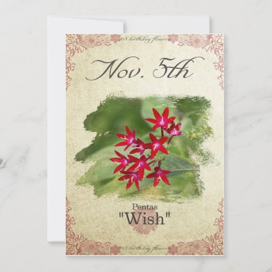 Carte Fleurs d'anniversaire le 5 novembre "Pentas" (Devant)