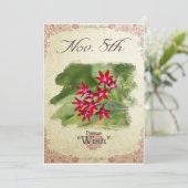 Carte Fleurs d'anniversaire le 5 novembre "Pentas" (Debout devant)