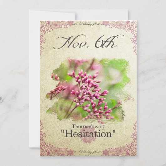 Carte Fleurs d'anniversaire le 6 novembre "Thoroughwort" (Devant)