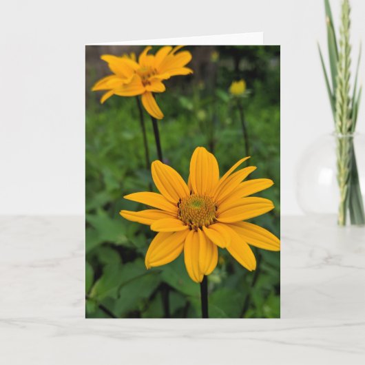 Carte Fleurs dans le jardin (Devant)