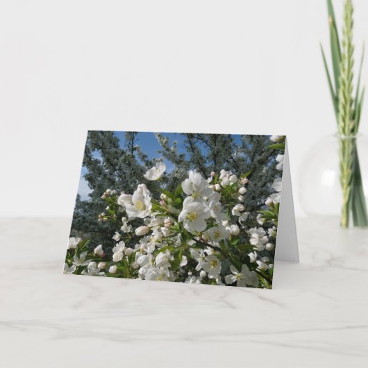 Carte Fleurs d'Apple (Devant)