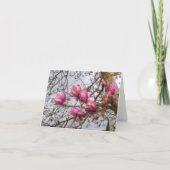 Carte Fleurs d'arbre de tulipe (Devant)