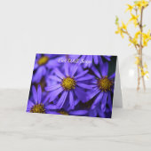 Carte Fleurs d'aster pourpre Wisley Gardens Prompt rétab (Fleur jaune)
