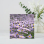 Carte Fleurs d'aster violet (Debout devant)