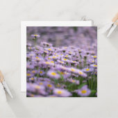 Carte Fleurs d'aster violet (Devant/Arrière en situation)