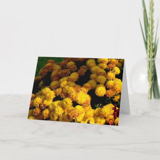 Carte Fleurs d'automne (Devant)