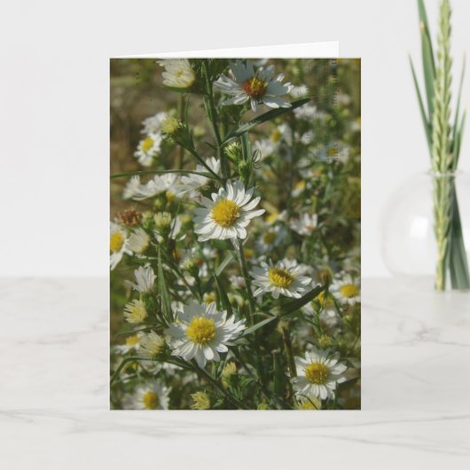 Carte Fleurs d'automne Toutes les occasions (Devant)