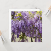 Carte Fleurs de bisteria violet (Devant/Arrière en situation)