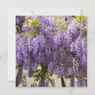 Carte Fleurs de bisteria violet