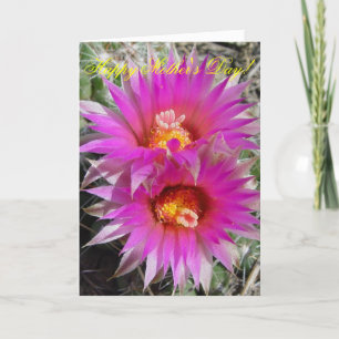 Carte Fleurs de boule F5 "Escobaria vivipara"