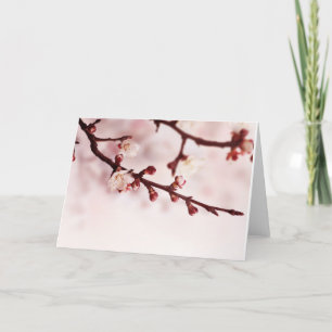 Carte Fleurs de cerisier