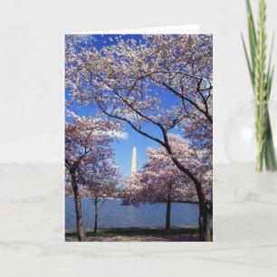 Carte Fleurs de cerisier dans le Washington DC
