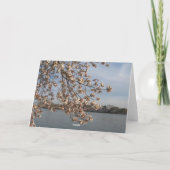 Carte fleurs de cerisier moins foule (Dos)