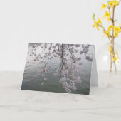 Carte fleurs de cerisier moins foule (Fleur jaune)