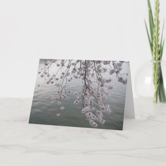 Carte fleurs de cerisier moins foule (Devant)