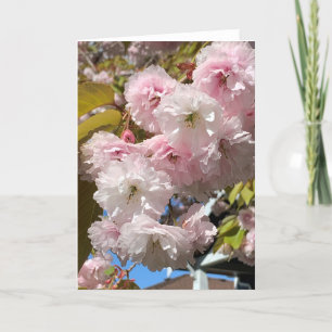 Carte Fleurs de cerisier rose vierges