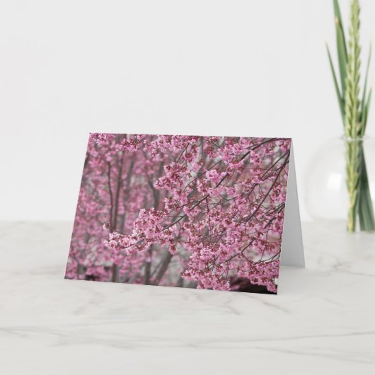 Carte Fleurs de cerisier Sakura rose flottant (Devant)