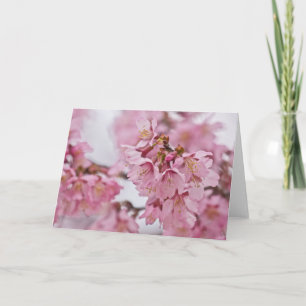 Carte Fleurs de cerisier Sakura rose pâle