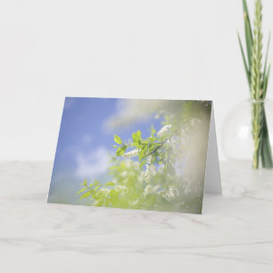 Carte Fleurs de cerisier vierge Ciel