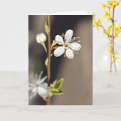 Carte Fleurs de cerisiers blancs (Fleur jaune)