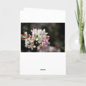 Carte Fleurs de cerisiers heureux anniversaire (Dos)