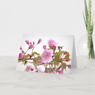 Carte Fleurs de cerisiers roses doubles au printemps de